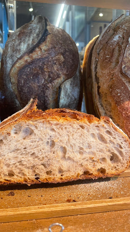 Pane miscuglio evolutivo